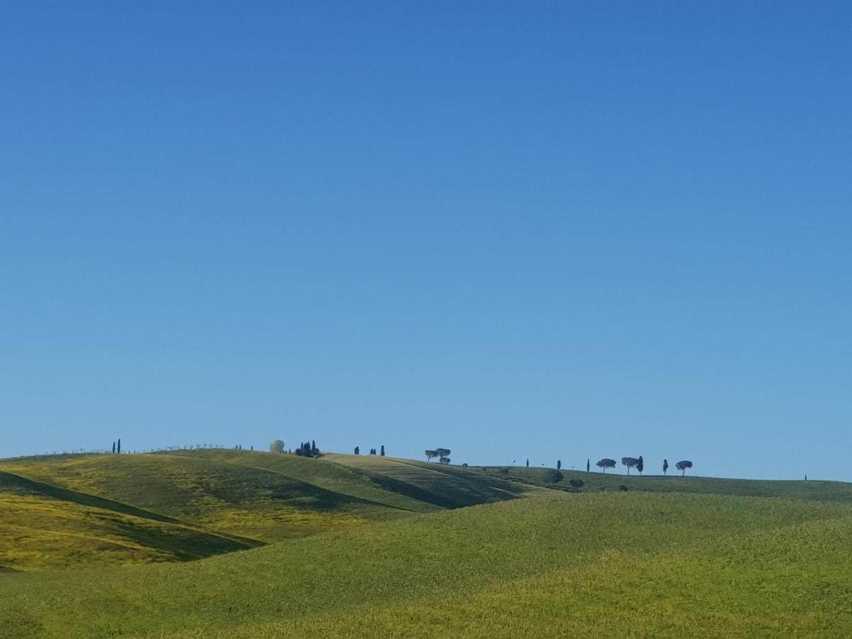 Palazzetto Del Pittore San Quirico dʼOrcia Exteriör bild