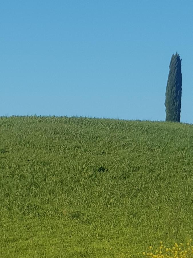 Palazzetto Del Pittore San Quirico dʼOrcia Exteriör bild