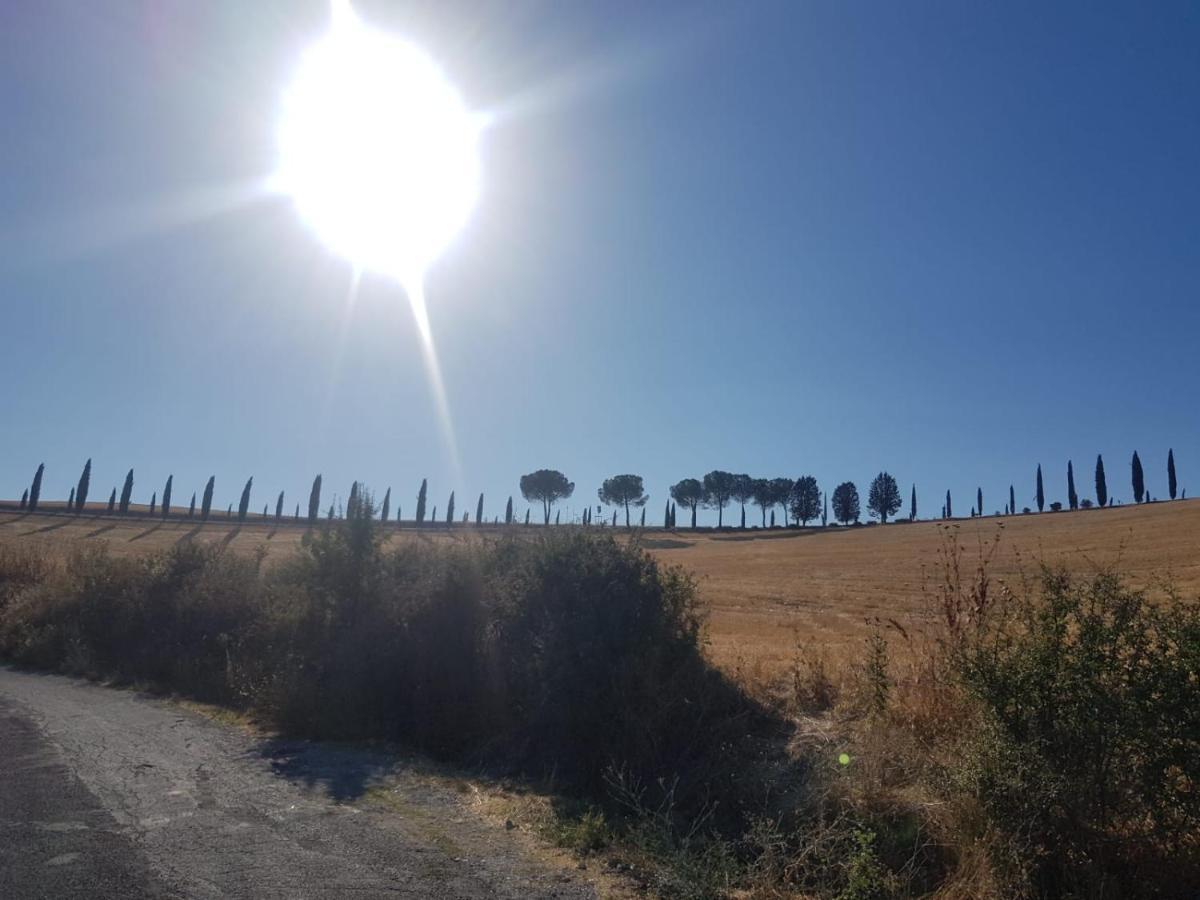 Palazzetto Del Pittore San Quirico dʼOrcia Exteriör bild