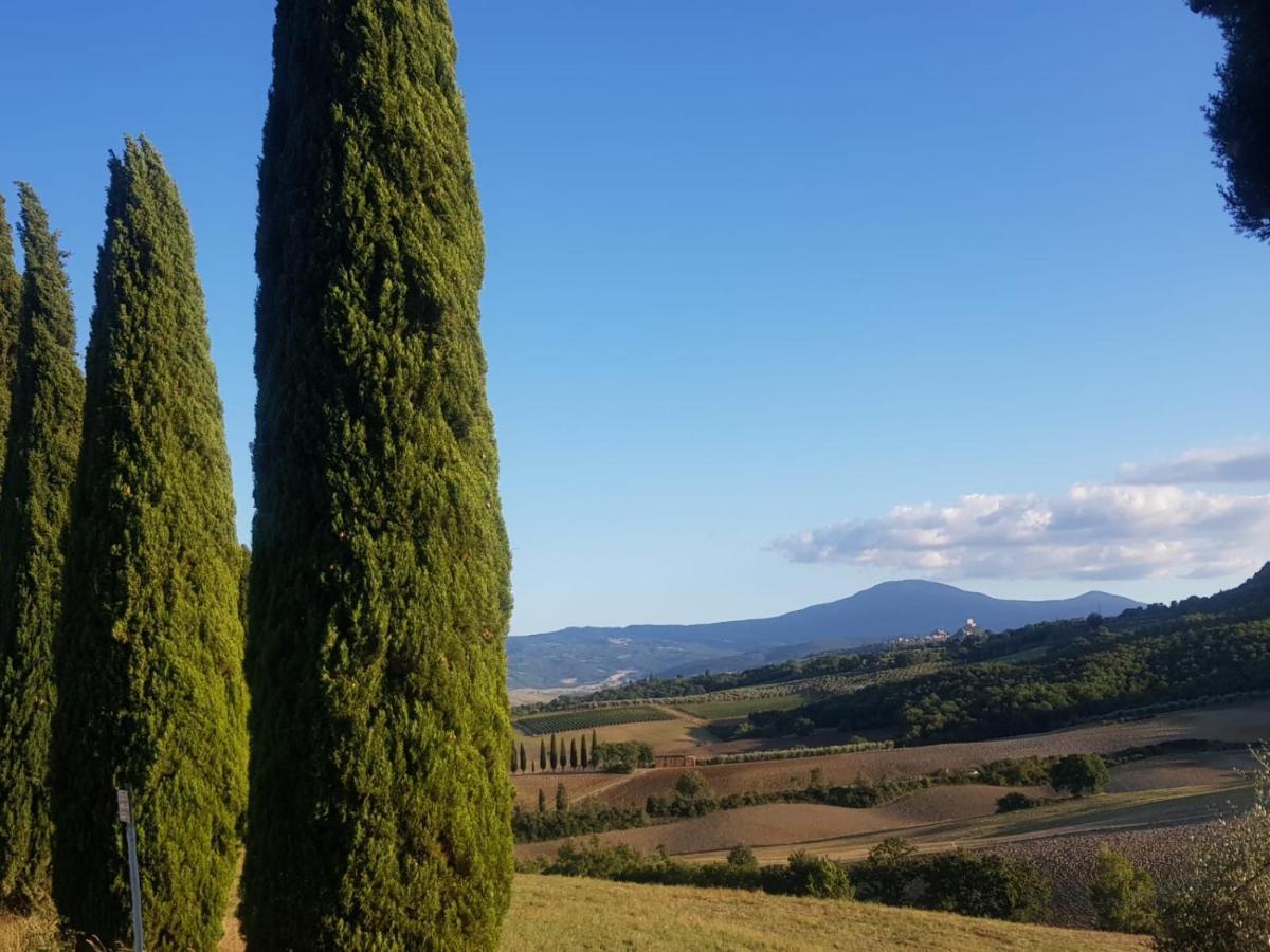 Palazzetto Del Pittore San Quirico dʼOrcia Exteriör bild
