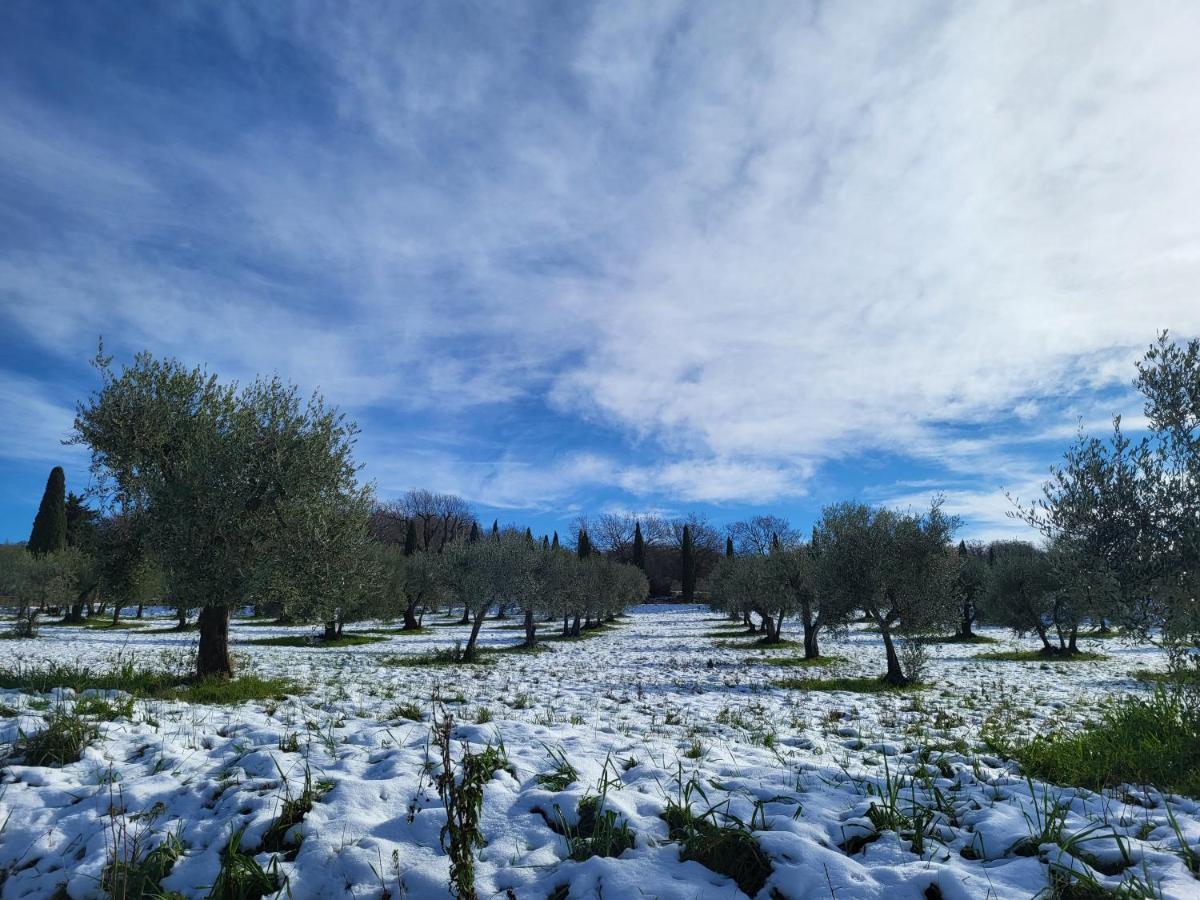 Palazzetto Del Pittore San Quirico dʼOrcia Exteriör bild