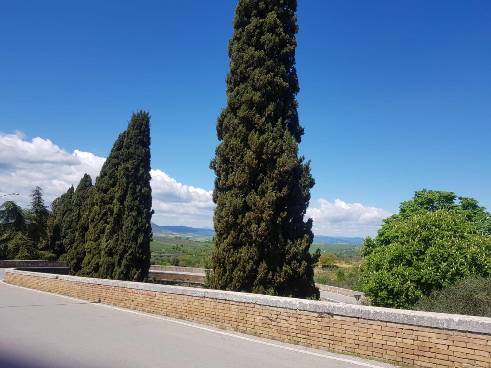 Palazzetto Del Pittore San Quirico dʼOrcia Exteriör bild